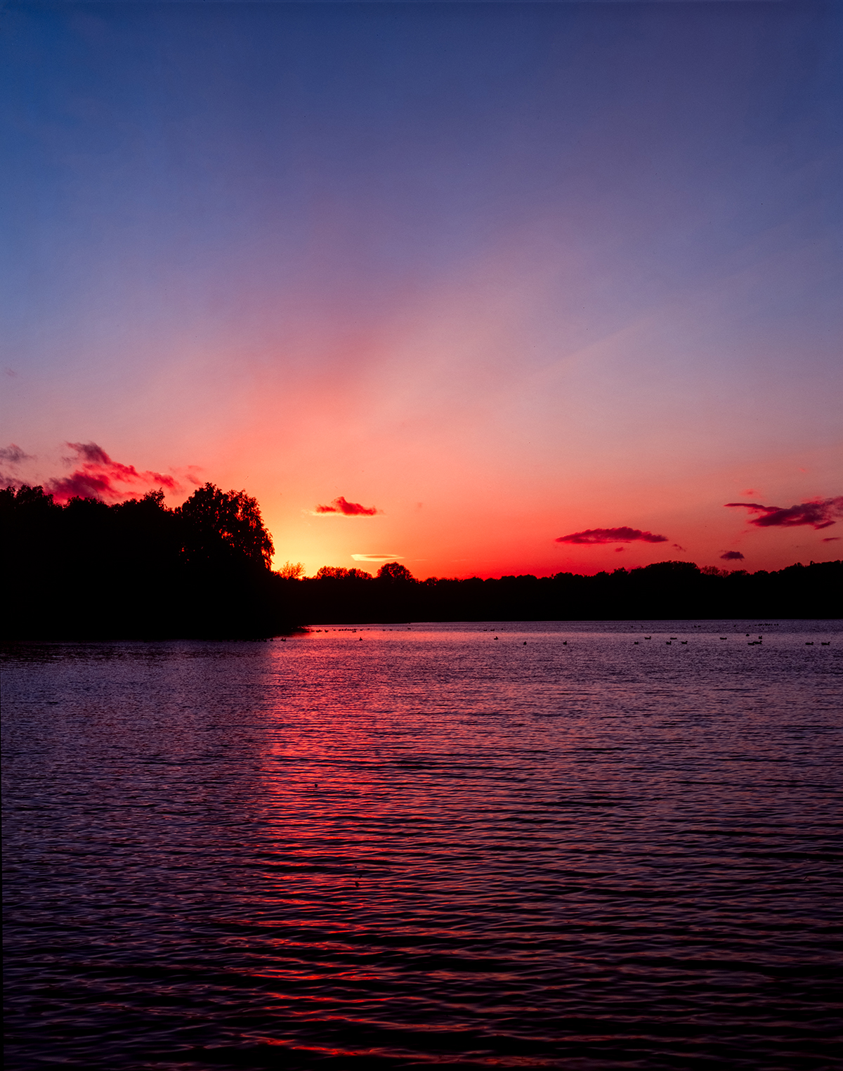 Sunset at the nature reserve [Shen Hao TZ45-II, Nikkor SW 90mm f8 - Fujifilm Velvia 50]]