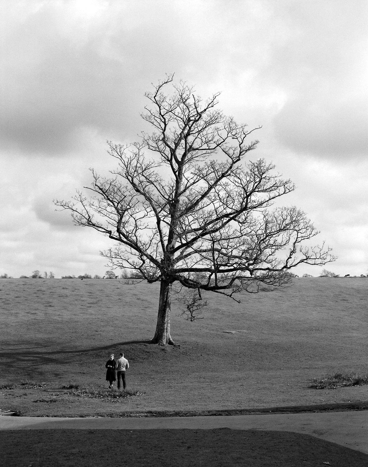 The couple and the tree [Pentax 67, Takumar 105mm f2.8 - Ilford HP5]
