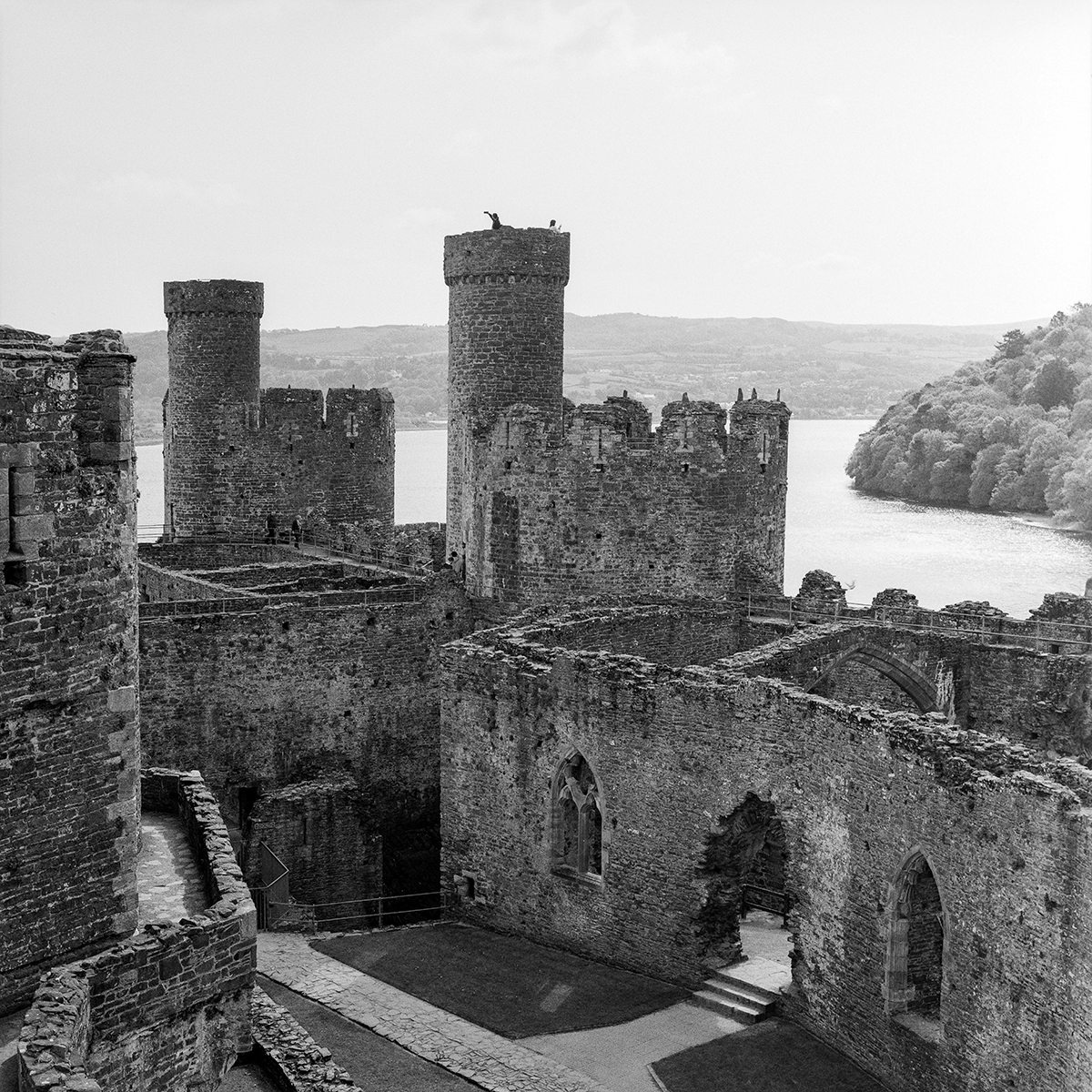 Conwy Castle [Hasselblad 500CM, Zeiss Planar 80mm f2.8 T* - Ilford HP5]